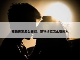 宠物拆家怎么安慰，宠物拆家怎么安慰人