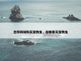 怎样同城购买宠物兔，在哪里买宠物兔