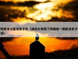 短体法斗能活多少年（请问小狗得了狗瘟疫一般能活多少天）