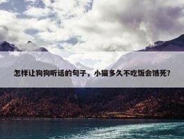 怎样让狗狗听话的句子，小猫多久不吃饭会饿死？