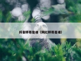 抖音胖哥是谁（网红胖哥是谁）