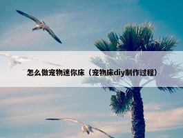 怎么做宠物迷你床（宠物床diy制作过程）