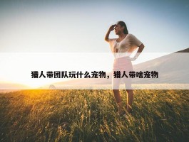 猎人带团队玩什么宠物，猎人带啥宠物