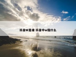 抖音W是谁 抖音中w指什么