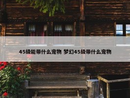 45级能带什么宠物 梦幻45级带什么宠物