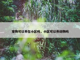 宠物可以养在小区吗，小区可以养动物吗