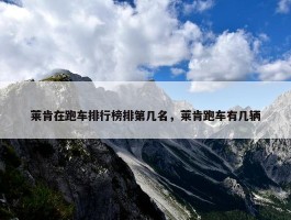 莱肯在跑车排行榜排第几名，莱肯跑车有几辆