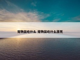 宠物鼠吃什么 宠物鼠吃什么涨死