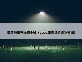 雷霆战机宠物哪个好（2021雷霆战机宠物选择）