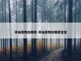 寻仙宠物在哪抓 寻仙宠物在哪抓宝宝