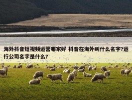 海外抖音短视频运营哪家好 抖音在海外叫什么名字?运行公司名字是什么?