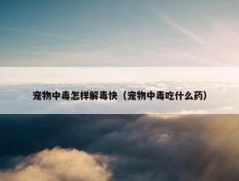 宠物中毒怎样解毒快（宠物中毒吃什么药）