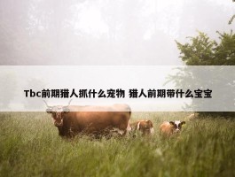 Tbc前期猎人抓什么宠物 猎人前期带什么宝宝