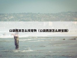 口袋西游怎么找宠物（口袋西游怎么刷宝图）