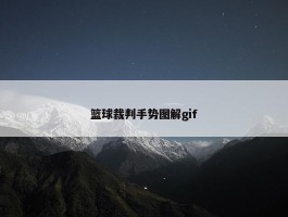 篮球裁判手势图解gif