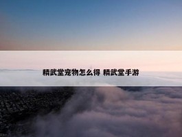 精武堂宠物怎么得 精武堂手游