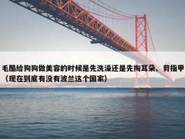 毛酷给狗狗做美容的时候是先洗澡还是先掏耳朵、剪指甲（现在到底有没有波兰这个国家）