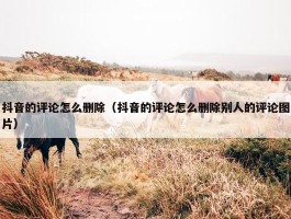 抖音的评论怎么删除（抖音的评论怎么删除别人的评论图片）