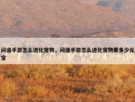 问道手游怎么进化宠物，问道手游怎么进化宠物要多少元宝