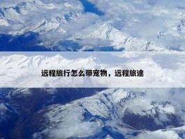 远程旅行怎么带宠物，远程旅途