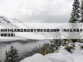 狗狗不吐大便正常但是不想吃东西没精神（为什么养鱼干塘要消毒）