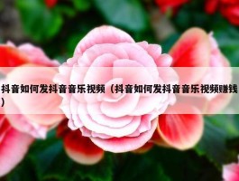 抖音如何发抖音音乐视频（抖音如何发抖音音乐视频赚钱）