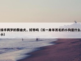 接手两岁的泰迪犬，好养吗（长一身羊羔毛的小狗是什么小）