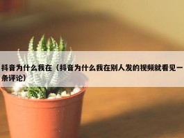 抖音为什么我在（抖音为什么我在别人发的视频就看见一条评论）