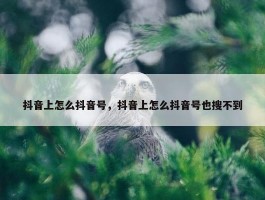 抖音上怎么抖音号，抖音上怎么抖音号也搜不到