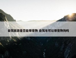 自驾旅游是否能带宠物 自驾车可以带宠物狗吗