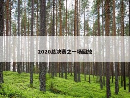 2020总决赛之一场回放