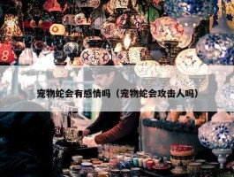 宠物蛇会有感情吗（宠物蛇会攻击人吗）