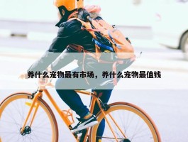 养什么宠物最有市场，养什么宠物最值钱