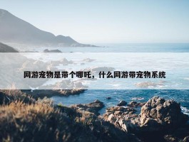 网游宠物是带个哪吒，什么网游带宠物系统