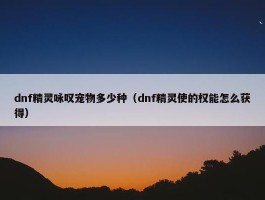 dnf精灵咏叹宠物多少种（dnf精灵使的权能怎么获得）