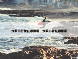 步数排行榜在哪里看，步数排名在哪里看