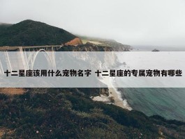 十二星座该用什么宠物名字 十二星座的专属宠物有哪些