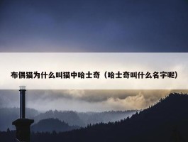 布偶猫为什么叫猫中哈士奇（哈士奇叫什么名字呢）