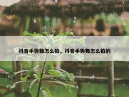 抖音手势舞怎么拍，抖音手势舞怎么拍的