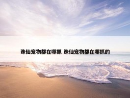 诛仙宠物都在哪抓 诛仙宠物都在哪抓的