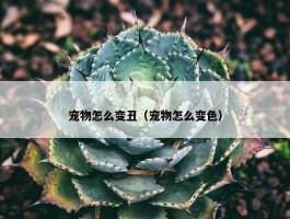 宠物怎么变丑（宠物怎么变色）