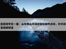 亚冠现罕见一幕：山东泰山半场结束后被判点球，对手故意挑衅球迷