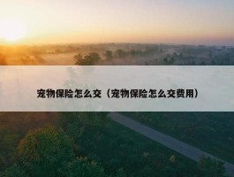 宠物保险怎么交（宠物保险怎么交费用）