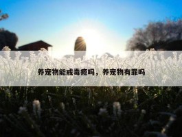 养宠物能戒毒瘾吗，养宠物有罪吗