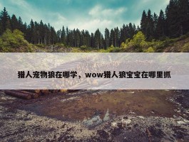 猎人宠物狼在哪学，wow猎人狼宝宝在哪里抓