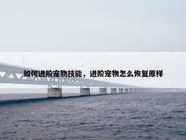 如何进阶宠物技能，进阶宠物怎么恢复原样