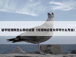 留学短视频怎么做好运营（短视频运营大学学什么专业）