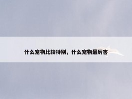 什么宠物比较特别，什么宠物最厉害