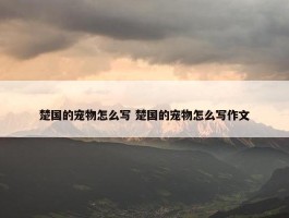 楚国的宠物怎么写 楚国的宠物怎么写作文