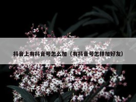 抖音上有抖音号怎么加（有抖音号怎样加好友）